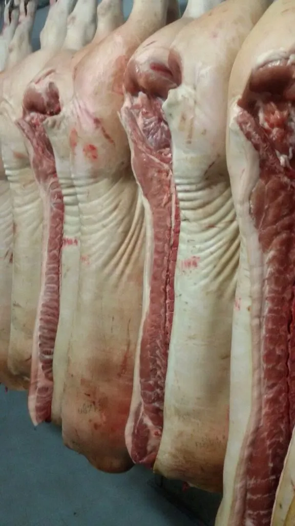 мясо свинины в  полутушах  в Мытищах 3