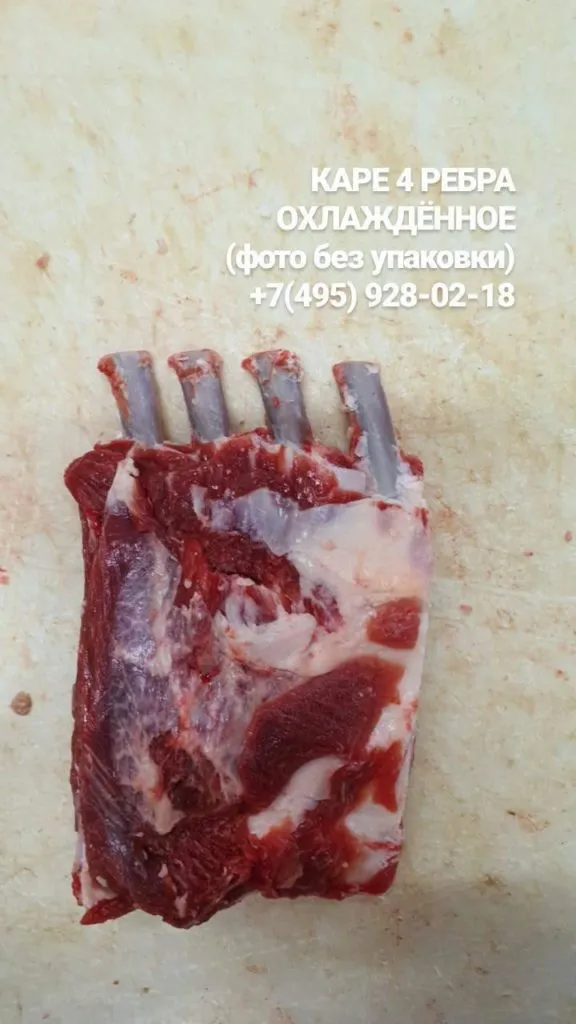 бык б/к охл в анатомии (зерновой откорм) в Москве 28