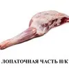 баранина - вся анатомия с/м в в/у в Москве 6