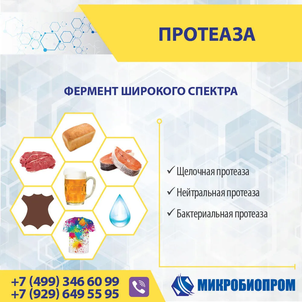 протеаза - Фермент для расщепления белка в Москве
