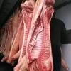 мясо свинина оптом пт 161р/кг в Москве