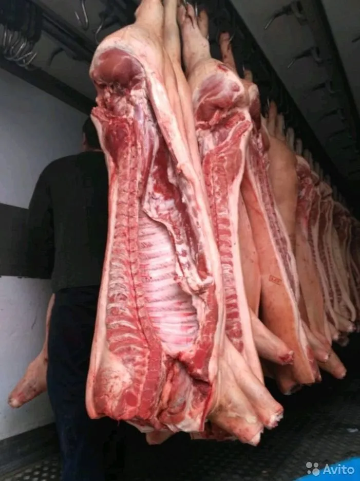 мясо свинина оптом п/т 161р/кг в Москве 2
