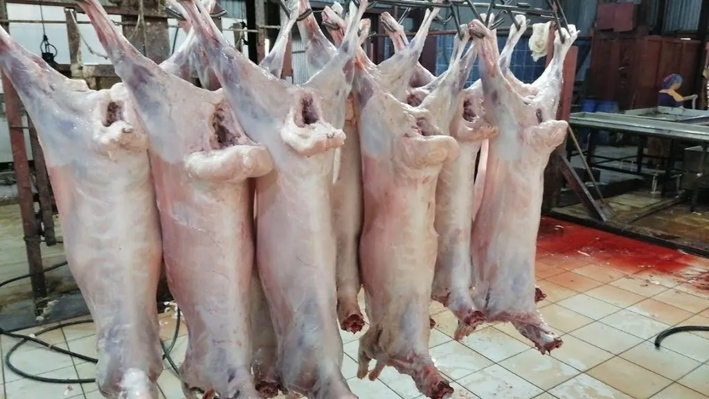 организация закупает мясо баранины. в Москве 2