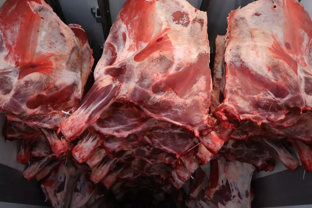 фотография продукта Мясистая говядина в полтушах