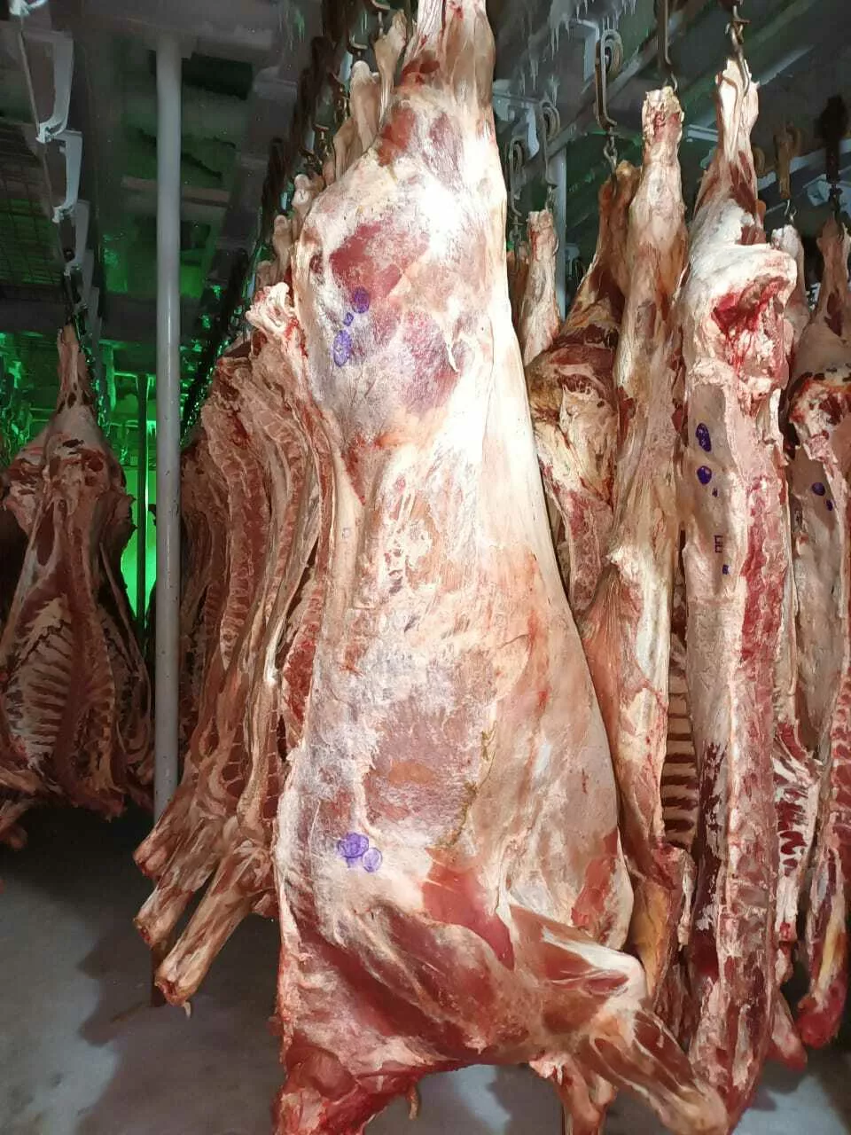 Фотография продукта свинина, говядина филе грудки филе бедра