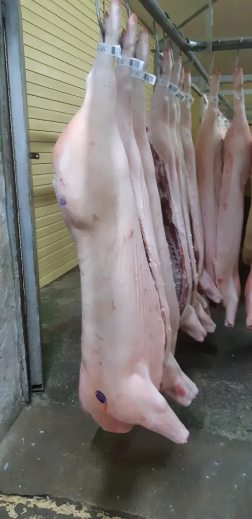 фотография продукта Полутуши свиные охлажденные
