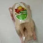 фотография продукта Оптовая пррдажа мяса птицы утки, гуси