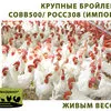 поилки, кормушки для птиц и кроликов в Москве