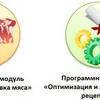 компьютерная программа для мясокомбината в Москве 2