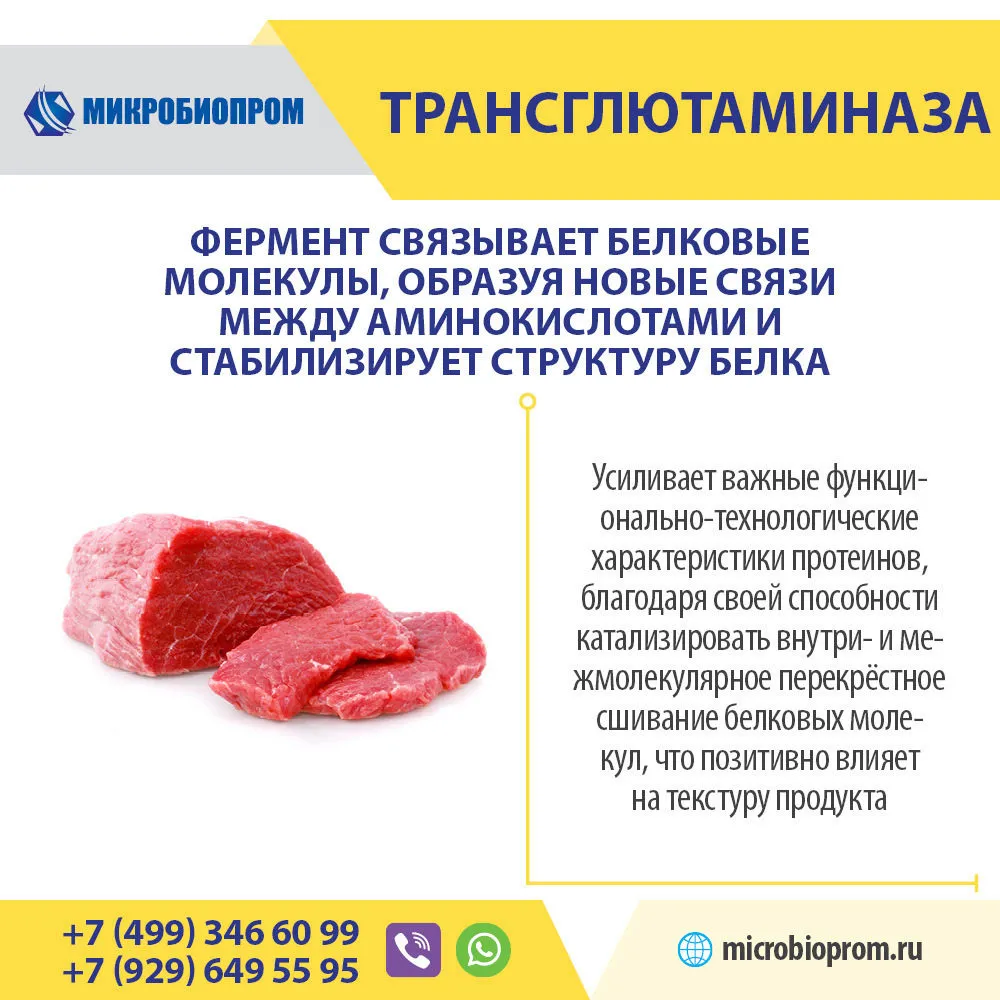 трансглютаминаза (ТГ) - Фермент для мяса в Москве