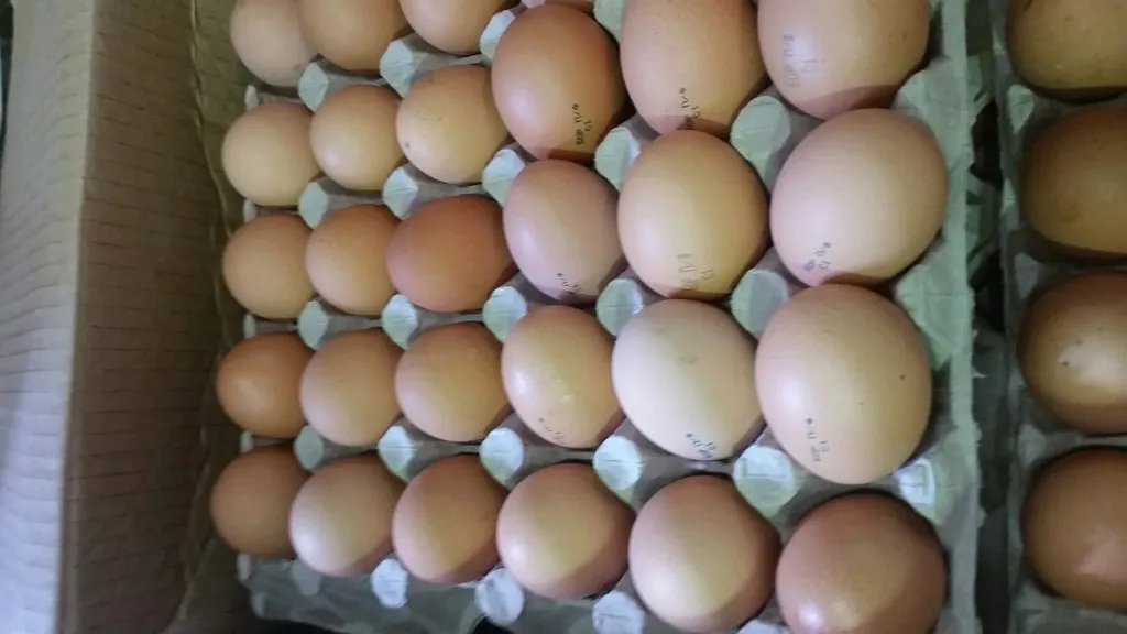фотография продукта Яйцо куриное С1 - 38 руб