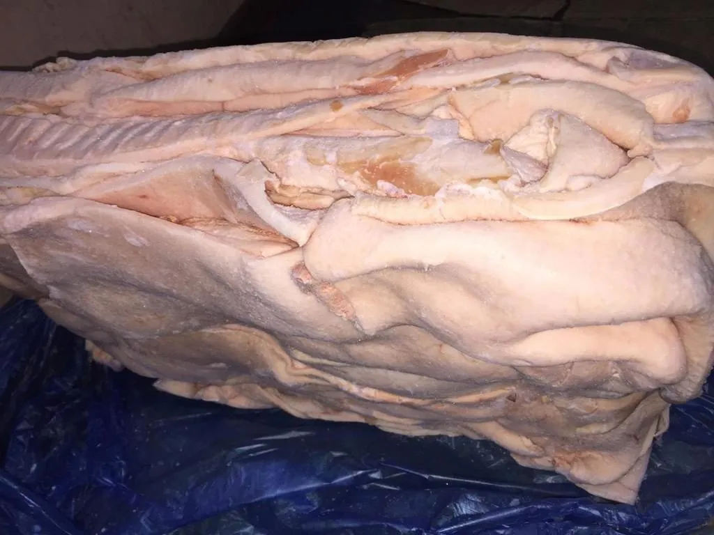 фотография продукта шпик свиной хребтовой заморозка