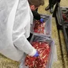 блочное мясо говядины производство РБ в Москве