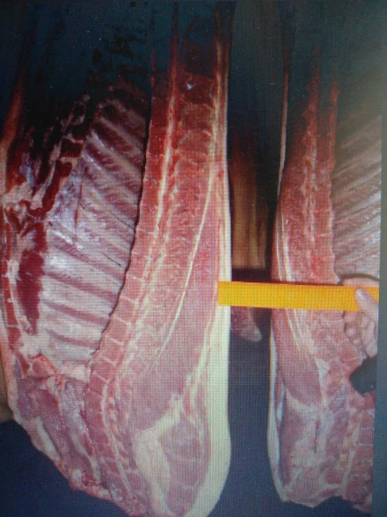 фотография продукта Продам мясо