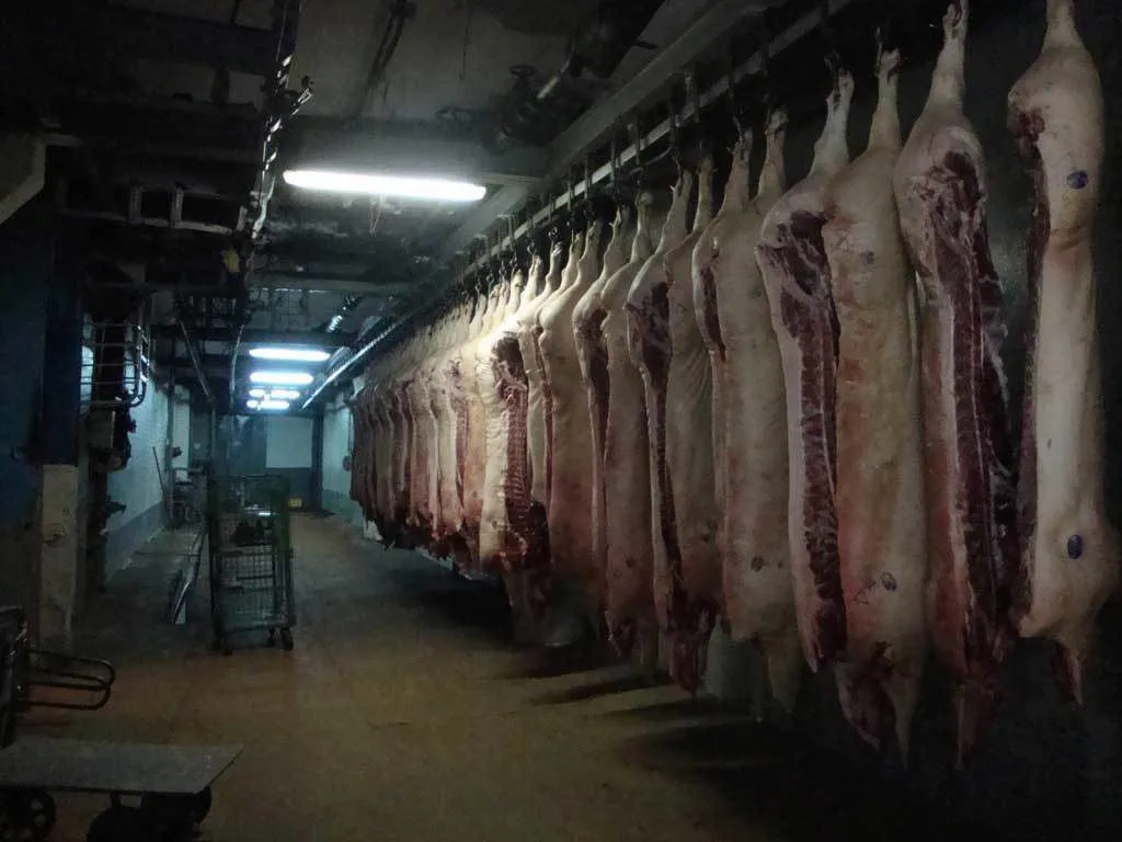 фотография продукта предлагаем купить мясо из Белоруссии