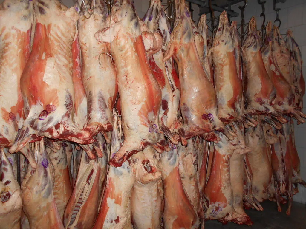 фотография продукта Замороженная говядина,курица,баранина