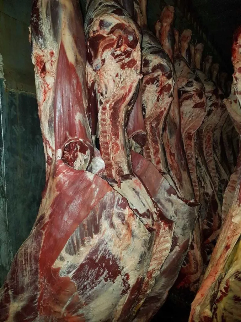 мясо от производителя в Москве