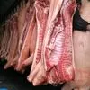 мясо свинина опт. в полутушах 161р/кг в Москве 2