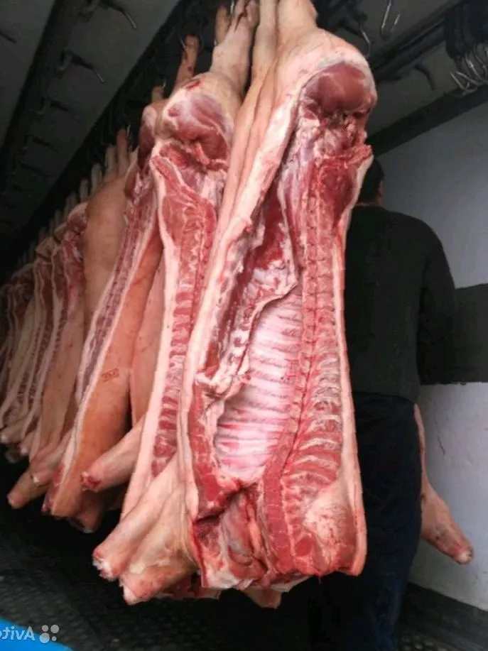 мясо свинина оптом пт 161р/кг в Москве