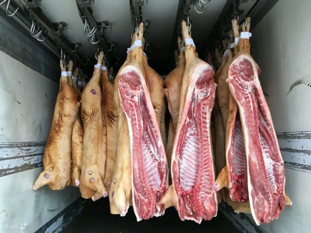 мясо свинина оптом п/т 161р/кг в Москве