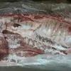полутуши свиные 150 руб/кг ОПТ в Одинцово 2