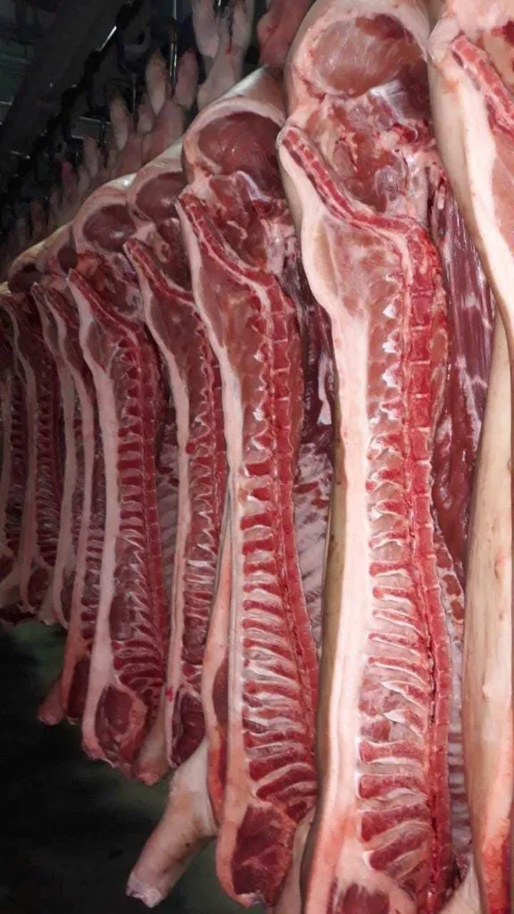 фотография продукта Мясо свинины 1,2,3 категории 