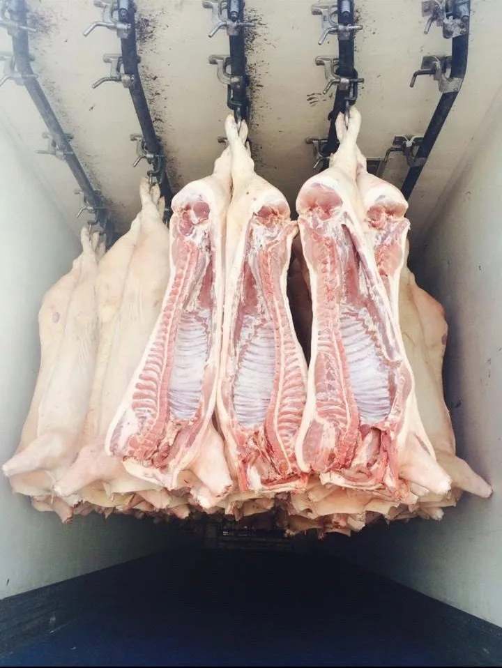 фотография продукта свинина охлажденная от производителя