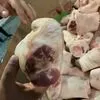култышка, голяшка свиных ног 9-12 р/кг. в Калуге и Калужской области 7