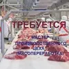 вакансия мастера цеха (мясопереработка) в Москве