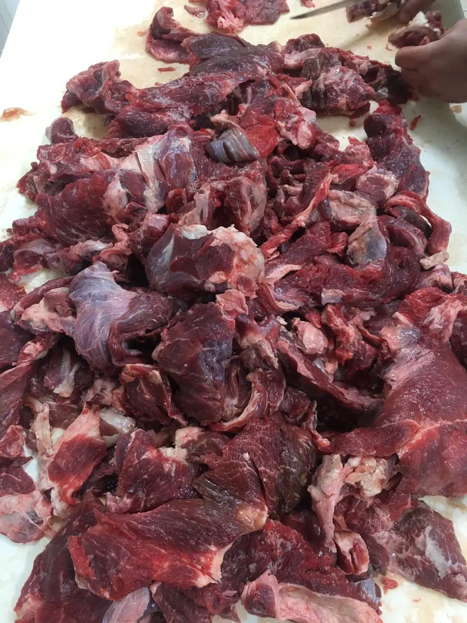 говядина II сорт котлетное мясо в Солнечногорске 3