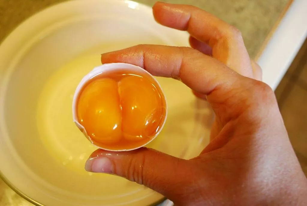 фотография продукта Домашние яйца