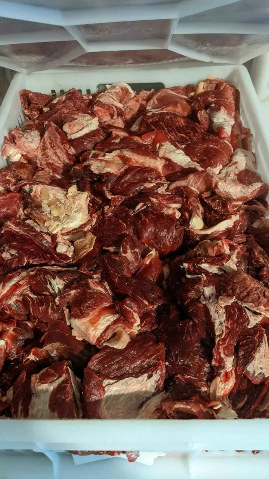 фотография продукта Мясо бычков б/к (1 и 2 сорт) зам. халяль