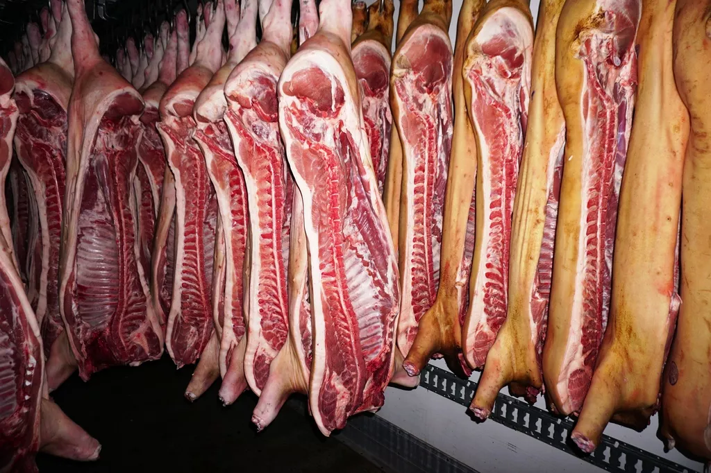 фотография продукта Опт говядины, свинины, курицы, баранины