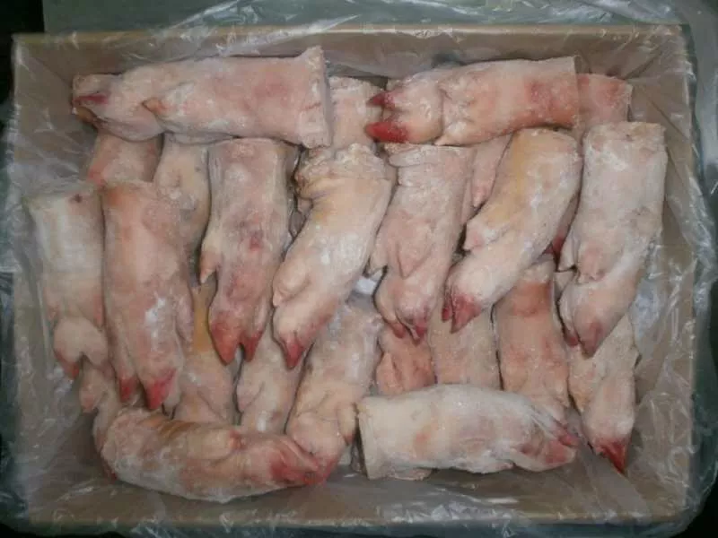 Фотография продукта Ноги свиные замороженные задние на корм