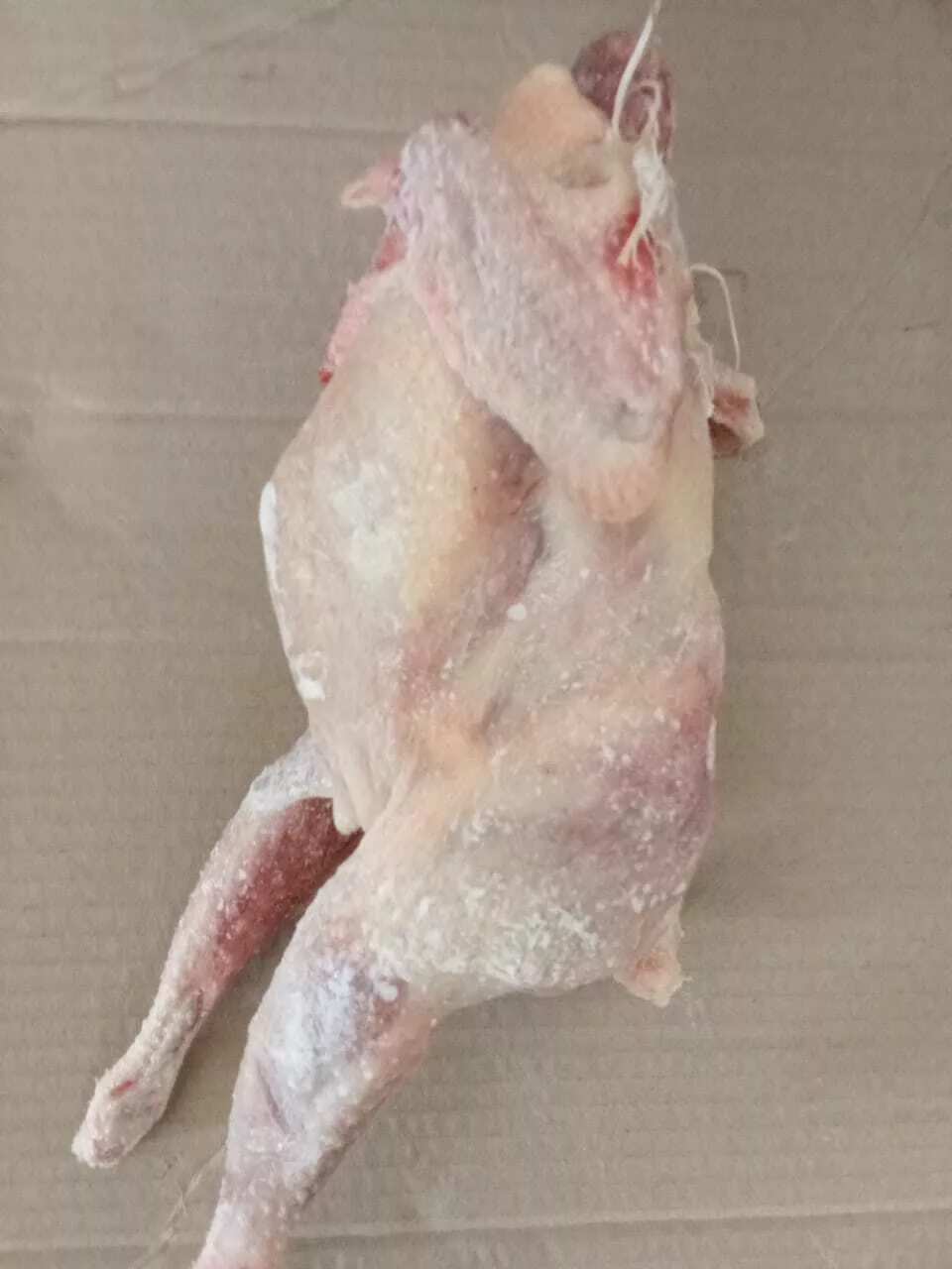 фотография продукта Суповая курица от 1кг